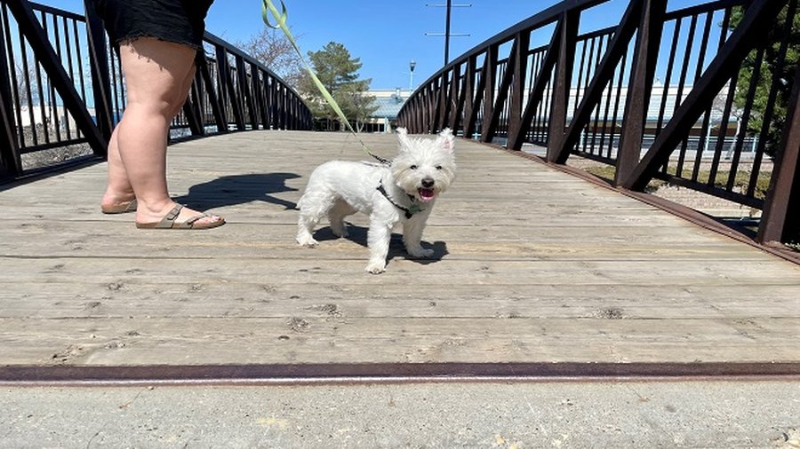 Weekend itineraries: hot temperatures return