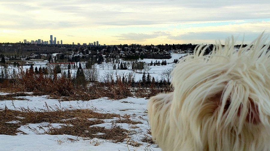 Weekend itineraries: enjoy the evenings