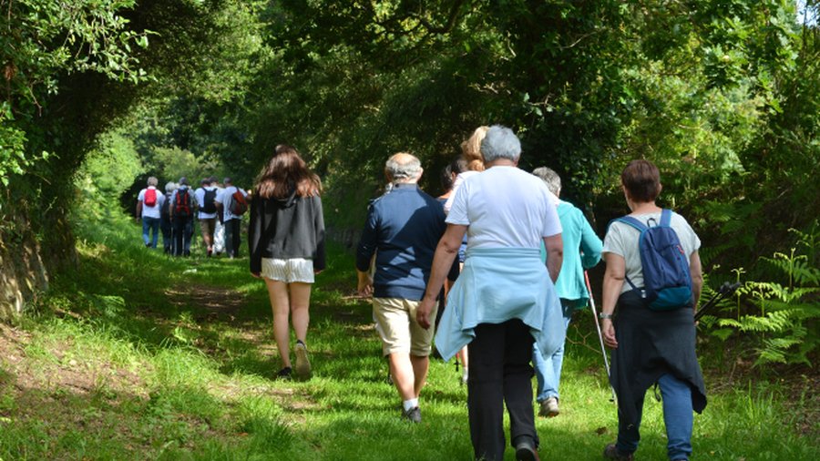 Community-builders in COVID-19: Graham Heights and Scot Haven Walking Group