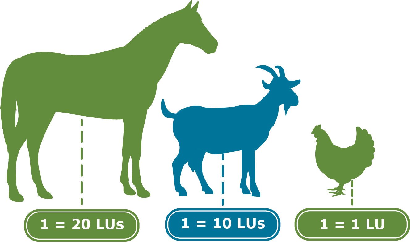 Graphic showing different animals with the livestock units associated with them. A horse equals 20 LUs, a goat equals 10 LUs and a chicken equals one LU.