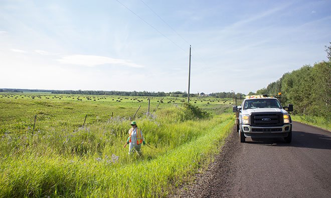 County workers spraying herbicide in a roadside ditch.