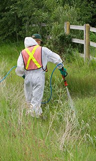 County worker spraying herbicide in the ditch.