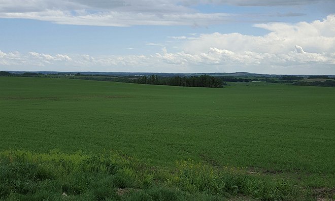 Green field outside of Penhold