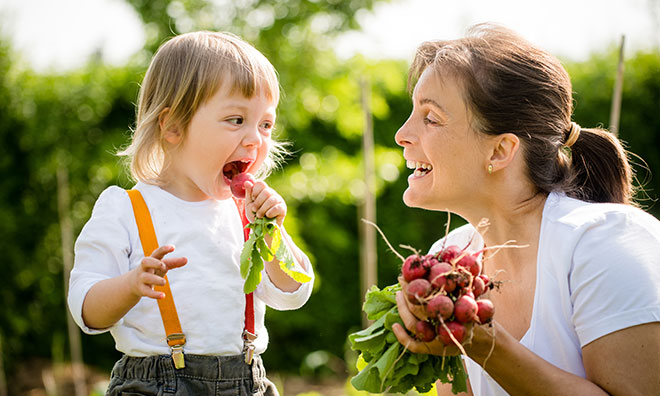 Mother looking at toddler enjoying freshly picked beets