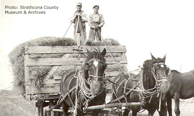 Historical black and white photo of early settlers transporting hay in a carriage