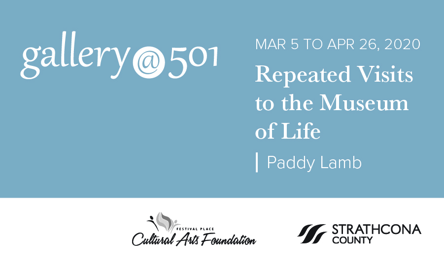 Gallery@501 exhibit features local artist Paddy Lamb