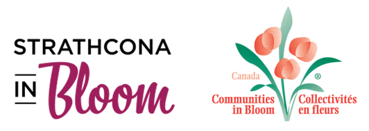 Strathcona in Bloom and Communities in Bloom