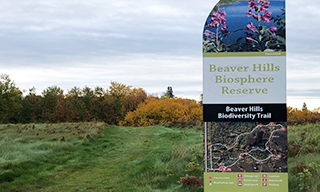 Beaver Hills Biodiversity Trail