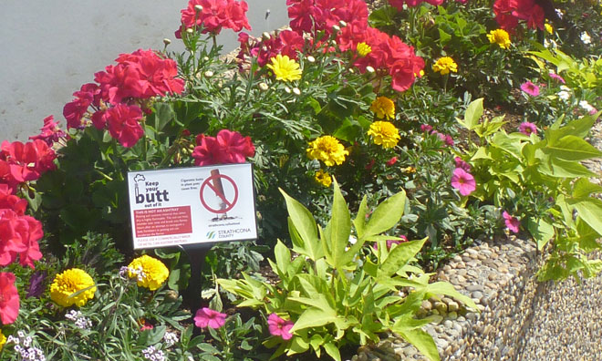 Plant pot displaying sign: plant pots are not ashtrays