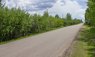 Stretch of rural road in Strathcona County