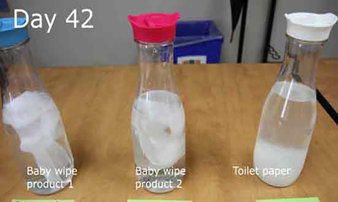 Experiment with bottles: day one. Baby wipes in first two bottles still intact and toilet paper in third bottle has completely broken down and dissolved in the water.