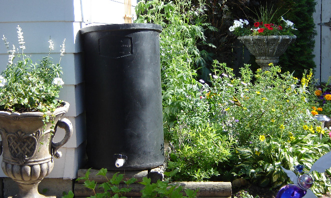 Image of rain barrel in garden.