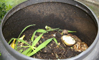 Image of compost container.