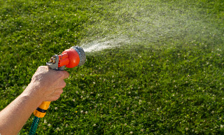 Image of a hand holding a water sprayer, spraying the lawn.